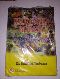 PEREKONOMIAN INDONESIA, BEBERAPA MASALAH PENTING